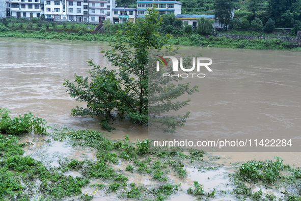 Floodwaters are inundating farmland and trees along the banks of the Tunpu section of Qingjiang River in Enshi, Hubei province, China, on Ju...