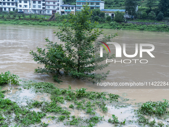 Floodwaters are inundating farmland and trees along the banks of the Tunpu section of Qingjiang River in Enshi, Hubei province, China, on Ju...