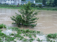 Floodwaters are inundating farmland and trees along the banks of the Tunpu section of Qingjiang River in Enshi, Hubei province, China, on Ju...