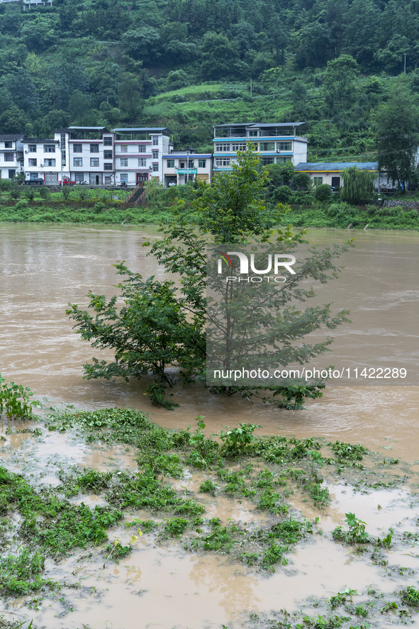 Floodwaters are inundating farmland and trees along the banks of the Tunpu section of Qingjiang River in Enshi, Hubei province, China, on Ju...