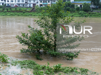 Floodwaters are inundating farmland and trees along the banks of the Tunpu section of Qingjiang River in Enshi, Hubei province, China, on Ju...