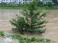 Floodwaters are inundating farmland and trees along the banks of the Tunpu section of Qingjiang River in Enshi, Hubei province, China, on Ju...