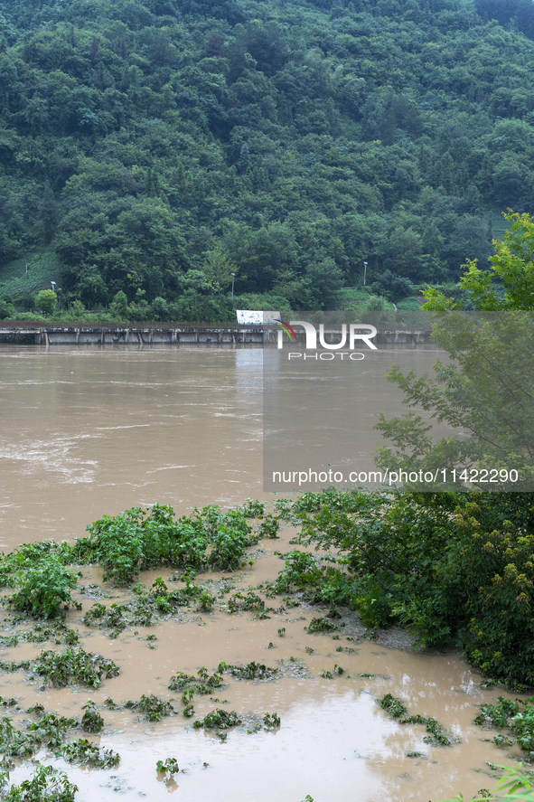 Floodwaters are inundating farmland and trees along the banks of the Tunpu section of Qingjiang River in Enshi, Hubei province, China, on Ju...