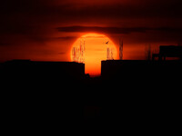 A bird is flying past the sun as it is going down behind the buildings in Guwahati, India, on July 20, 2024. (