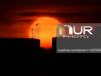 A bird is flying past the sun as it is going down behind the buildings in Guwahati, India, on July 20, 2024. (