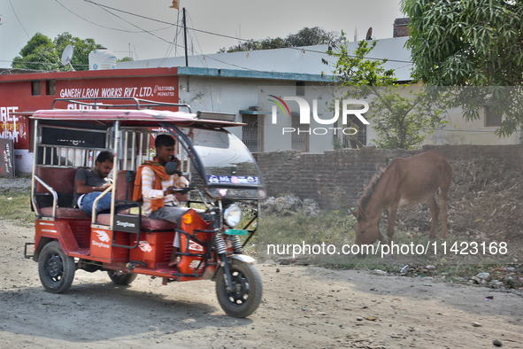 An auto-rickshaw is driving past a donkey in Haldwani, Uttarakhand, India, on April 23, 2024. 