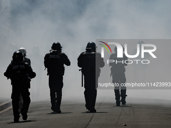 French gendarmes are walking amid the smoke from tear gas during a demonstration against the construction of a giant water reservoir (mega-b...