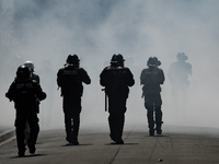 French gendarmes are walking amid the smoke from tear gas during a demonstration against the construction of a giant water reservoir (mega-b...