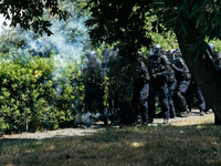 French gendarmes are being attacked by demonstrators with fireworks during a demonstration against the construction of a giant water reservo...