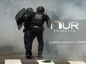 French gendarmes are walking amid the smoke from tear gas during a demonstration against the construction of a giant water reservoir (mega-b...