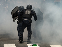 French gendarmes are walking amid the smoke from tear gas during a demonstration against the construction of a giant water reservoir (mega-b...