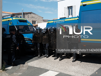 French Gendarmes are wearing riot gear and standing in front of the protesters during a rally against the construction of a giant water rese...