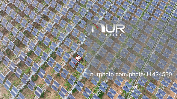 A villager is managing Chinese medicinal herbs grown in a photovoltaic plantation in Lihua village, Lianyungang city, East China's Jiangsu p...