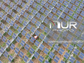 A villager is managing Chinese medicinal herbs grown in a photovoltaic plantation in Lihua village, Lianyungang city, East China's Jiangsu p...