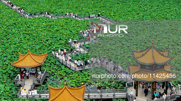 Visitors are viewing lotus flowers in full bloom at Zhaodi National Wetland Park in Anlong County, Qianxinan Buyi and Miao autonomous Prefec...