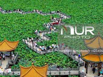 Visitors are viewing lotus flowers in full bloom at Zhaodi National Wetland Park in Anlong County, Qianxinan Buyi and Miao autonomous Prefec...