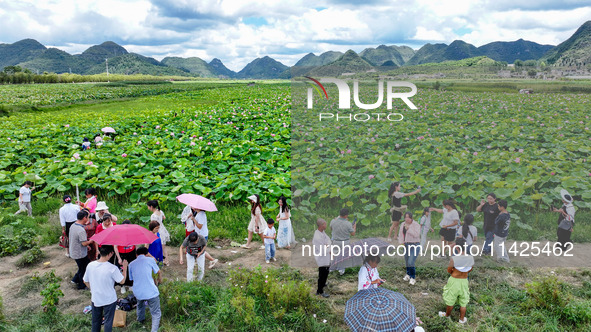 Visitors are viewing lotus flowers in full bloom at Zhaodi National Wetland Park in Anlong County, Qianxinan Buyi and Miao autonomous Prefec...