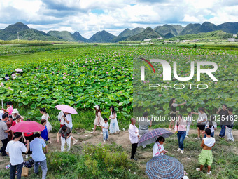 Visitors are viewing lotus flowers in full bloom at Zhaodi National Wetland Park in Anlong County, Qianxinan Buyi and Miao autonomous Prefec...