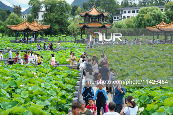 Visitors are viewing lotus flowers in full bloom at Zhaodi National Wetland Park in Anlong County, Qianxinan Buyi and Miao autonomous Prefec...