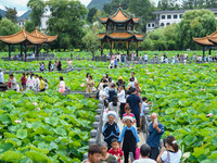 Visitors are viewing lotus flowers in full bloom at Zhaodi National Wetland Park in Anlong County, Qianxinan Buyi and Miao autonomous Prefec...