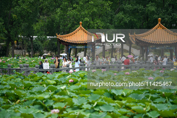 Visitors are viewing lotus flowers in full bloom at Zhaodi National Wetland Park in Anlong County, Qianxinan Buyi and Miao autonomous Prefec...