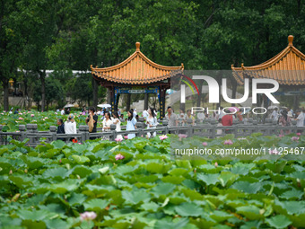 Visitors are viewing lotus flowers in full bloom at Zhaodi National Wetland Park in Anlong County, Qianxinan Buyi and Miao autonomous Prefec...