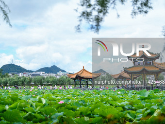 Visitors are viewing lotus flowers in full bloom at Zhaodi National Wetland Park in Anlong County, Qianxinan Buyi and Miao autonomous Prefec...