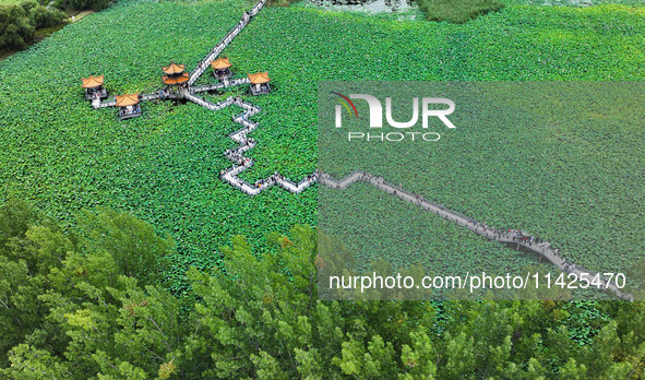 Visitors are viewing lotus flowers in full bloom at Zhaodi National Wetland Park in Anlong County, Qianxinan Buyi and Miao autonomous Prefec...