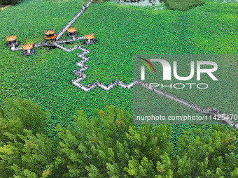 Visitors are viewing lotus flowers in full bloom at Zhaodi National Wetland Park in Anlong County, Qianxinan Buyi and Miao autonomous Prefec...