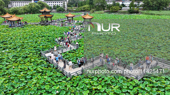 Visitors are viewing lotus flowers in full bloom at Zhaodi National Wetland Park in Anlong County, Qianxinan Buyi and Miao autonomous Prefec...