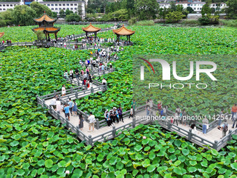 Visitors are viewing lotus flowers in full bloom at Zhaodi National Wetland Park in Anlong County, Qianxinan Buyi and Miao autonomous Prefec...