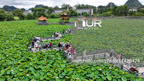 Visitors are viewing lotus flowers in full bloom at Zhaodi National Wetland Park in Anlong County, Qianxinan Buyi and Miao autonomous Prefec...