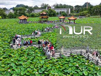 Visitors are viewing lotus flowers in full bloom at Zhaodi National Wetland Park in Anlong County, Qianxinan Buyi and Miao autonomous Prefec...