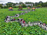 Visitors are viewing lotus flowers in full bloom at Zhaodi National Wetland Park in Anlong County, Qianxinan Buyi and Miao autonomous Prefec...