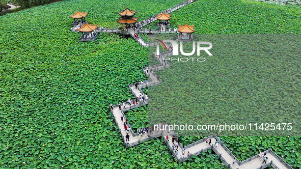 Visitors are viewing lotus flowers in full bloom at Zhaodi National Wetland Park in Anlong County, Qianxinan Buyi and Miao autonomous Prefec...