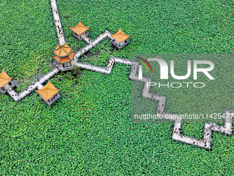 Visitors are viewing lotus flowers in full bloom at Zhaodi National Wetland Park in Anlong County, Qianxinan Buyi and Miao autonomous Prefec...