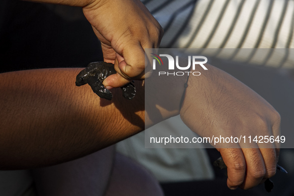 A child is holding an olive ridley turtle hatchling (Lepidochelys Olivacea) before releasing it into the wild at Goa Cemara Beach, Bantul, Y...