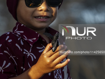 A child is holding an olive ridley turtle hatchling (Lepidochelys Olivacea) before releasing it into the wild at Goa Cemara Beach, Bantul, Y...