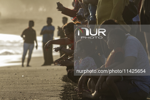 People are releasing the olive ridley turtle hatchlings (Lepidochelys Olivacea) at Goa Cemara Beach, Bantul, Yogyakarta, Indonesia, on July...