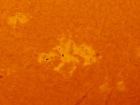 (EDITOR'S NOTE: This image was captured with an H-Alpha solar telescope and is the result of stacking the best 20% of frames. The final stac...