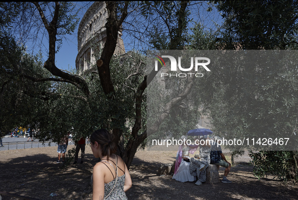 A group of tourists is sheltering from the sun under olive trees in front of the Colosseum in Rome, Italy, on July 21, 2024. 