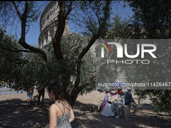 A group of tourists is sheltering from the sun under olive trees in front of the Colosseum in Rome, Italy, on July 21, 2024. (