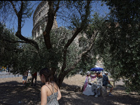 A group of tourists is sheltering from the sun under olive trees in front of the Colosseum in Rome, Italy, on July 21, 2024. (