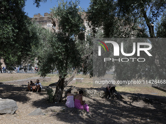 A group of tourists is sheltering from the sun under olive trees in front of the Colosseum in Rome, Italy, on July 21, 2024. (