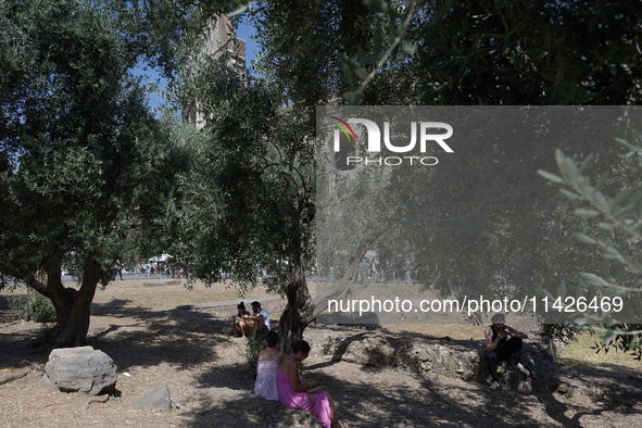 A group of tourists is sheltering from the sun under olive trees in front of the Colosseum in Rome, Italy, on July 21, 2024. 