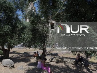 A group of tourists is sheltering from the sun under olive trees in front of the Colosseum in Rome, Italy, on July 21, 2024. (