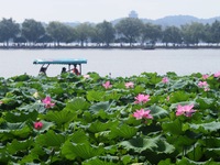 Tourists are taking a boat ride to see lotus flowers blooming on the West Lake in Hangzhou, China, on July 22, 2024. (