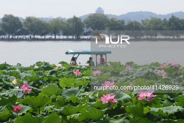 Tourists are taking a boat ride to see lotus flowers blooming on the West Lake in Hangzhou, China, on July 22, 2024. 