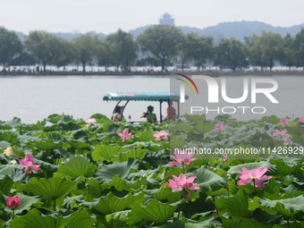 Tourists are taking a boat ride to see lotus flowers blooming on the West Lake in Hangzhou, China, on July 22, 2024. (