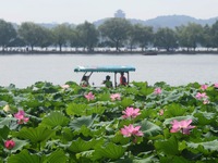 Tourists are taking a boat ride to see lotus flowers blooming on the West Lake in Hangzhou, China, on July 22, 2024. (